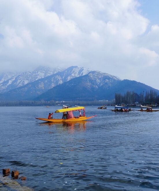 6 Nights & 7 Days Srinagar Package