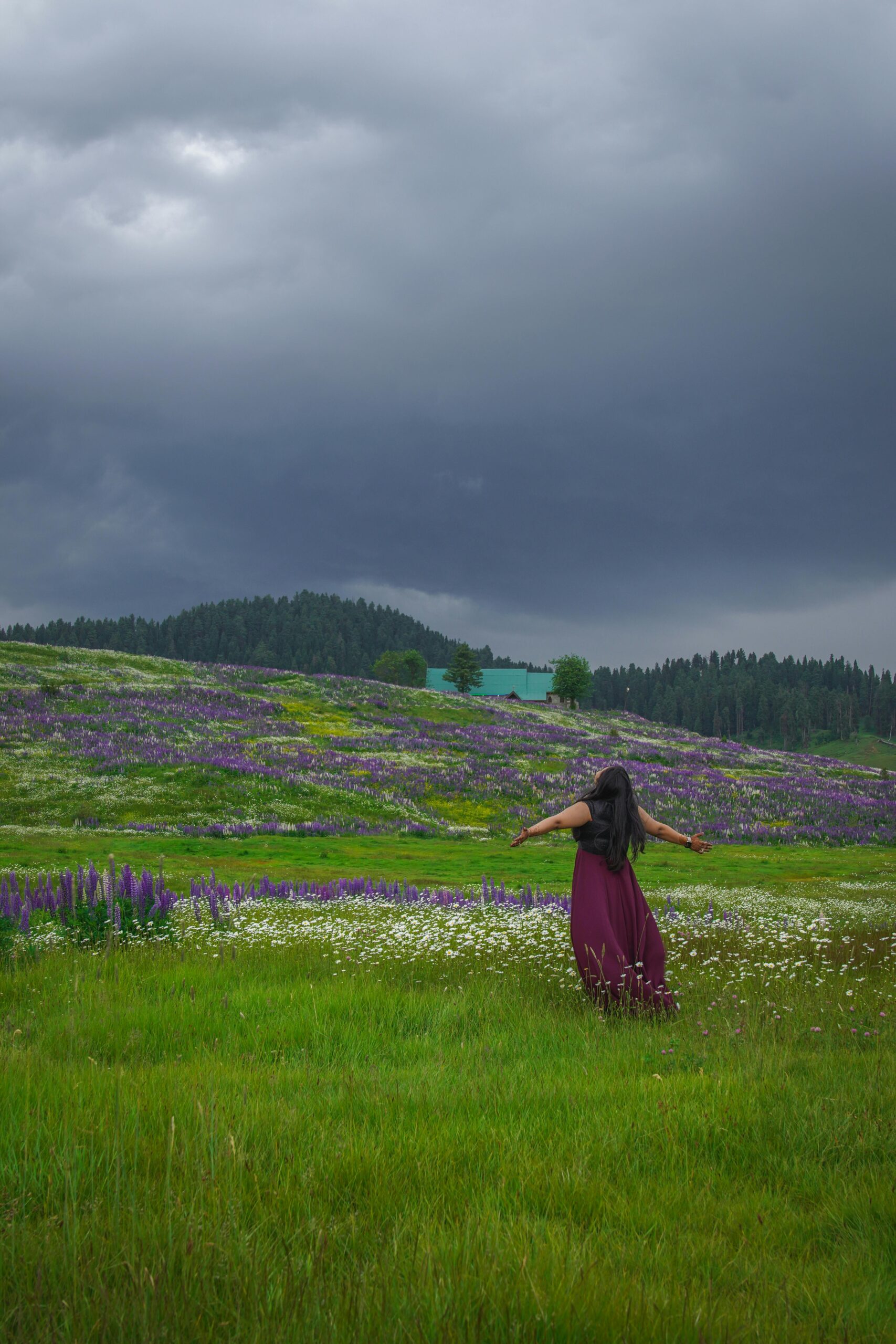 Kashmir Solo Trip ( 6 Days / 5 Nights )